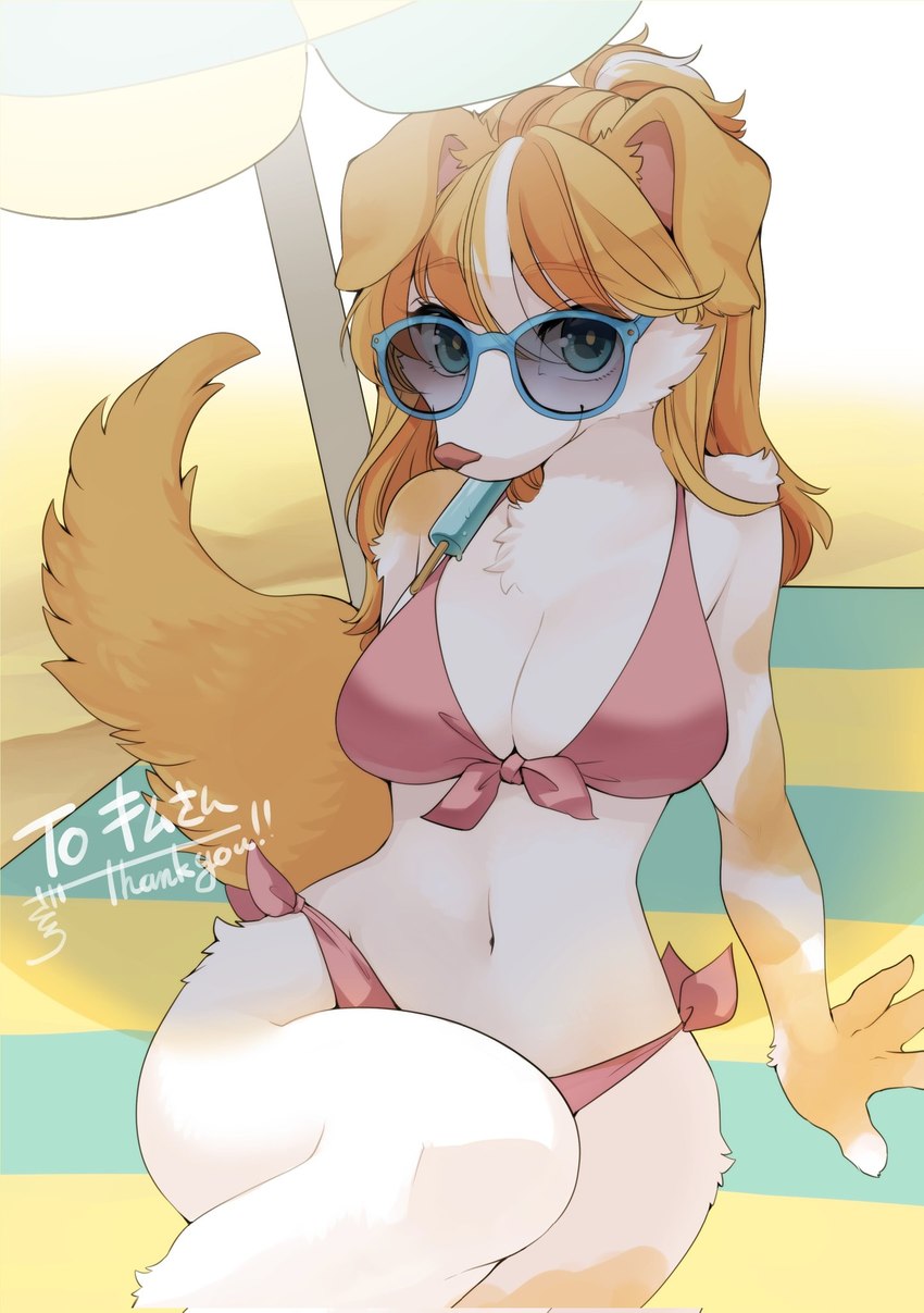 4_fingers anthro beach_towel beach_umbrella big_breasts bikini blue_eyes breasts cheek_tuft chest_tuft cleavage clothed clothing eyewear facial_tuft female female_anthro fingers floppy_ears fluffy fluffy_tail food food_in_mouth fur hair kemono looking_at_viewer multicolored_body multicolored_fur multicolored_hair navel object_in_mouth orange_body orange_fur orange_hair parasol pink_nose popsicle smile smiling_at_viewer solo sunglasses swimwear tail text towel tuft two-piece_swimsuit white_body white_fur white_hair lemoco inu-chan_(kim_3022) canid canine canis domestic_dog mammal 2021 digital_media_(artwork) english_text hi_res japanese_text shaded translated