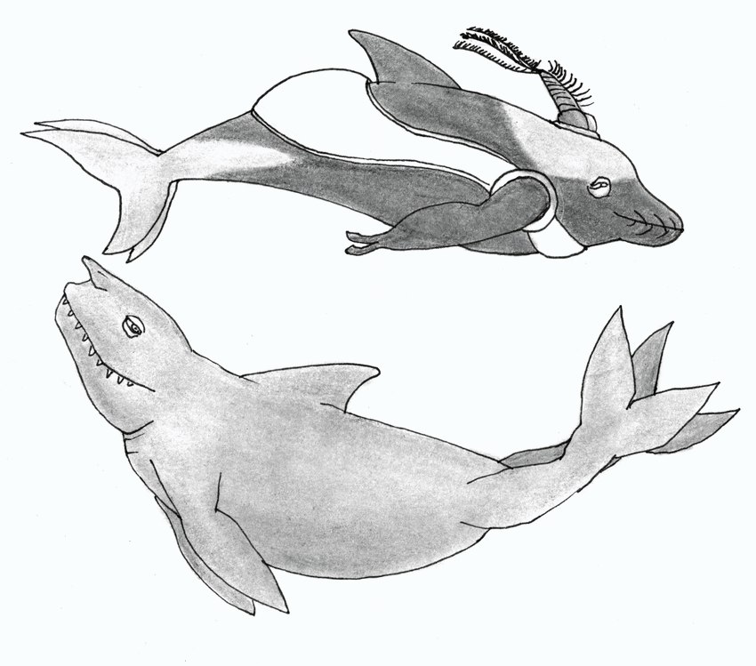 ambiguous_gender aquatic_mammal domestication duo evolution fangs feral fin genetic_engineering genetically_modified sea teeth water efradraws all_tomorrows marine posthuman swimmer_(all_tomorrows) tool_breeder_(all_tomorrows) absurd_res graphite_(artwork) hi_res monochrome pen_(artwork) traditional_media_(artwork)