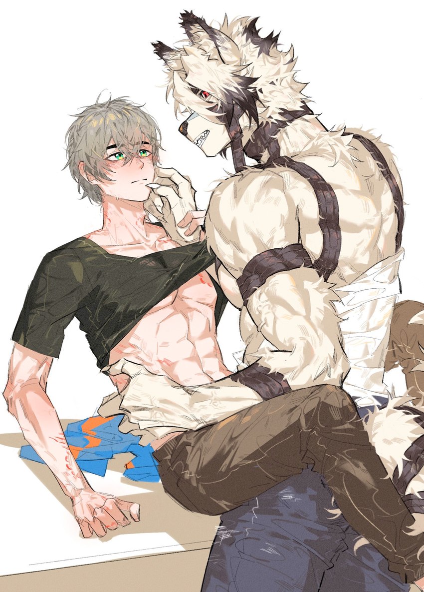 abs anthro athletic athletic_anthro athletic_male back_muscles bite_mark bottomwear clothed clothing duo fur green_eyes grey_hair hair hand_under_shirt harness human_on_anthro interspecies looking_at_another looking_at_partner male male/male muscular muscular_anthro muscular_male pants red_eyes shirtless simple_background straps tail topless topless_anthro topless_male white_body white_fur haru41113 mihoyo zenless_zone_zero von_lycaon wise_(zenless_zone_zero) canid canine canis human mammal wolf 2024 hi_res