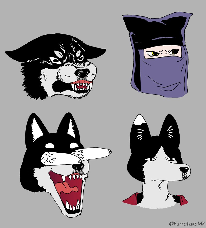 black_clothing black_hair clothed clothing fangs female front_view hair hair_over_eye light_body light_skin ninja one_eye_obstructed scarf short_hair simple_background solo teeth warrior efradraws chad_(meme) damn_daniel delicious_in_dungeon izutsumi_(delicious_in_dungeon) kuro_(delicious_in_dungeon) wojak animal_humanoid canid canine canis cat_humanoid domestic_dog felid felid_humanoid feline feline_humanoid felis humanoid japanese_kobold mammal mammal_humanoid shiba_inu spitz 2018 absurd_res digital_drawing_(artwork) digital_media_(artwork) half-length_portrait hi_res meme monochrome portrait