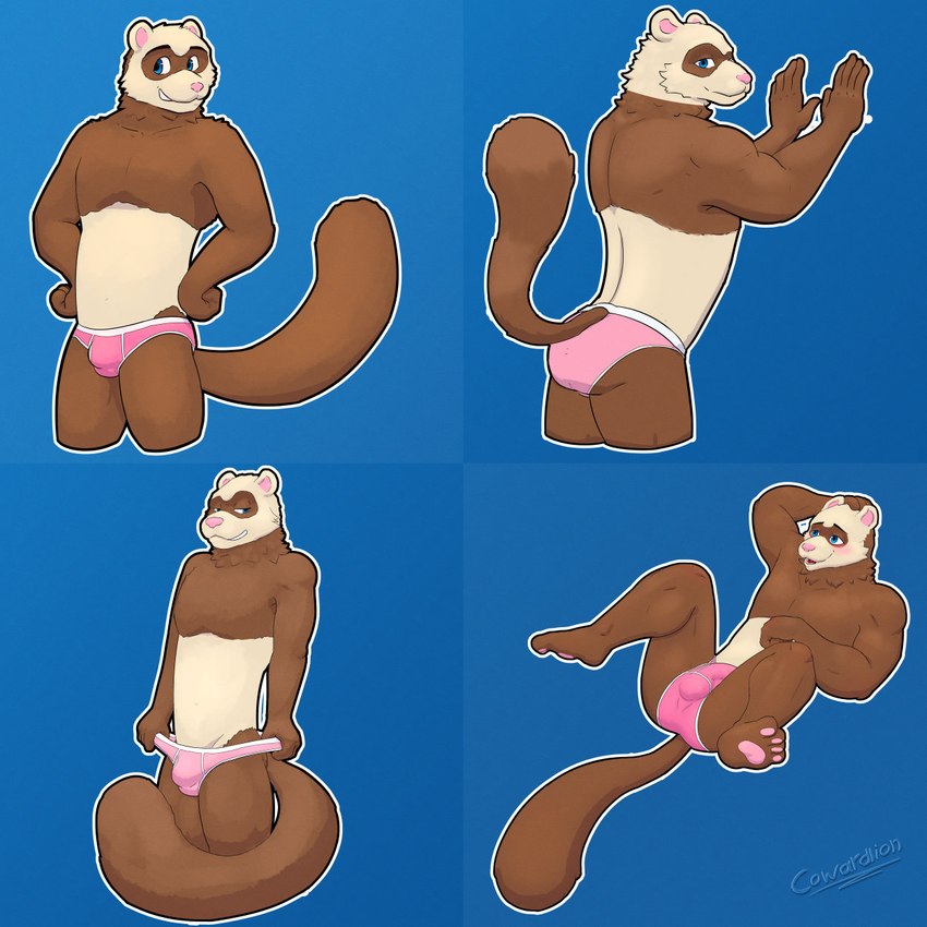 anthro blue_eyes blush briefs brown_body brown_fur bulge clothed clothing colored_seam_underwear fur male multiple_poses pink_briefs pink_clothing pink_underwear pose solo tan_body tan_fur underwear underwear_only white_seam_briefs white_seam_underwear cowardlion domestic_ferret mammal mustelid musteline true_musteline weasel 1:1 hi_res