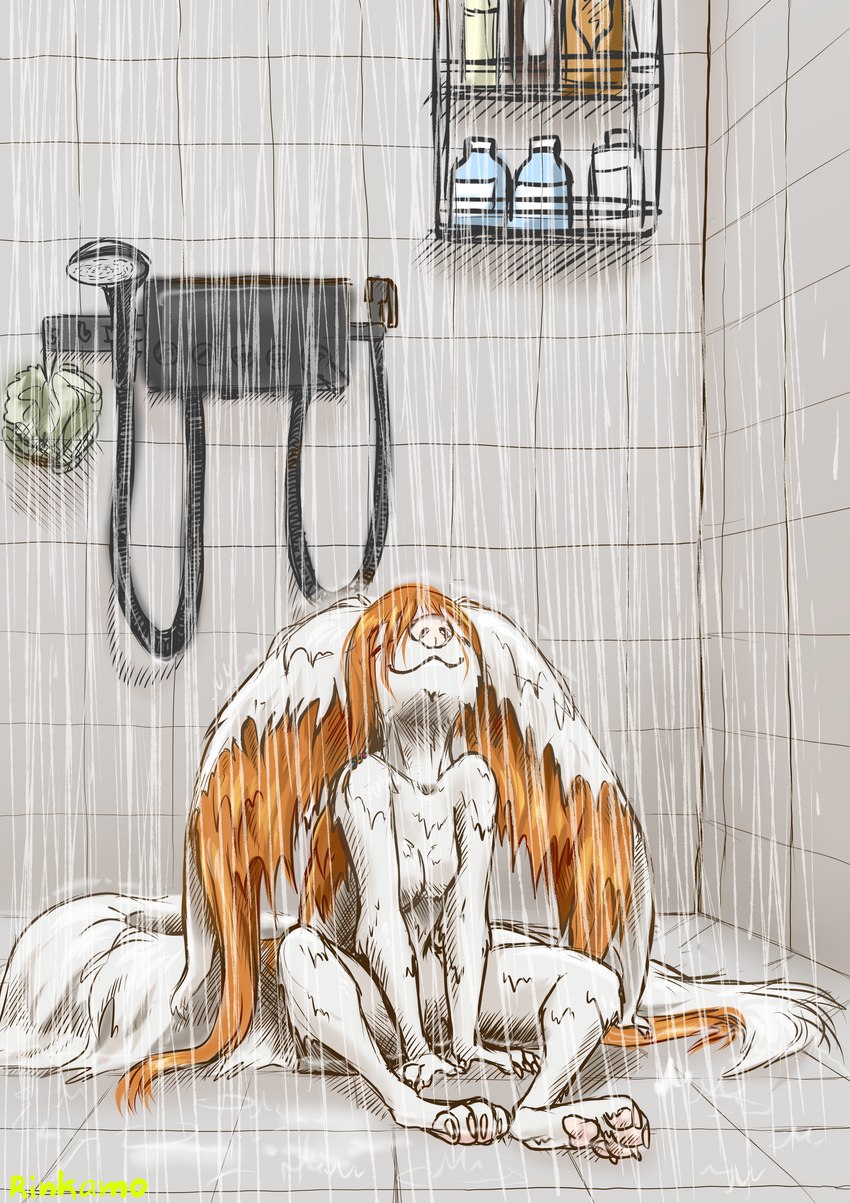 anthro color_sketch eyes_closed female fluffy fluffy_ear fluffy_tail fur hair hengeyokai nude orange_hair paws shower smile solo tail text water white_body rinkamo asian_mythology east_asian_mythology japanese_mythology mythology rinkamo_(character) canid canine mammal yokai absurd_res digital_media_(artwork) english_text hi_res signature sketch