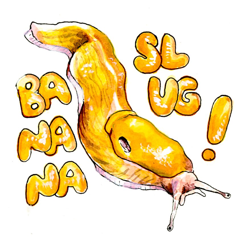 ambiguous_gender eyestalks feral glistening glistening_body simple_background solo text white_background yellow_body goat-soap banana_slug gastropod mollusk slug english_text traditional_media_(artwork)