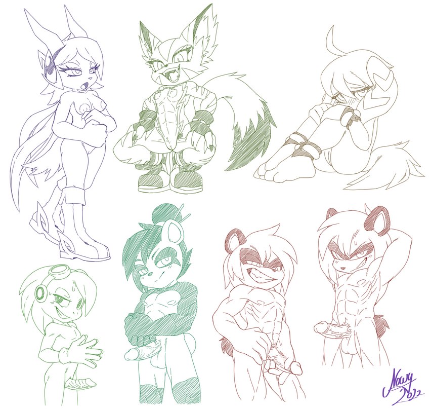 spade, commander torque, milla basset, prince dail, sash lilac, and etc (freedom planet and etc) created by nowykowski7