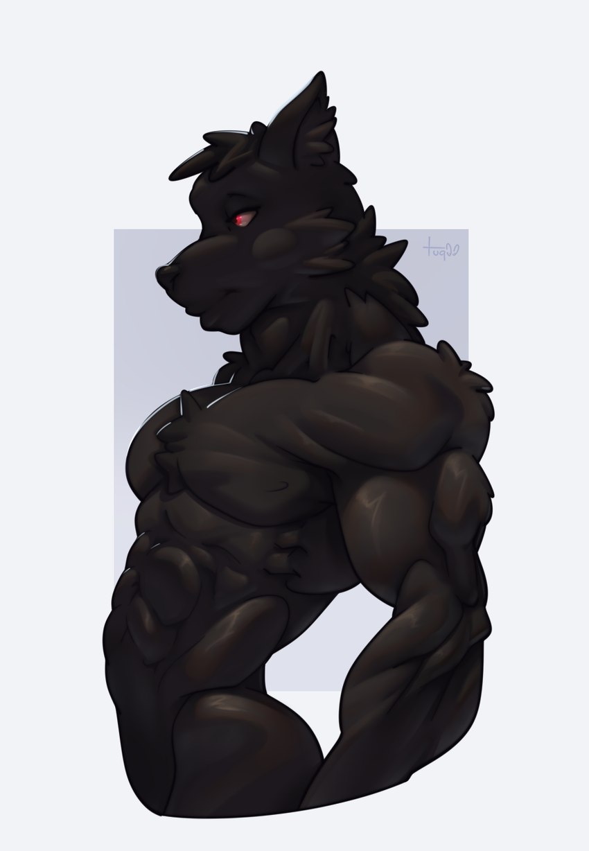 abs anthro biceps black_body black_fur fur male muscular muscular_anthro muscular_male red_eyes serious serious_face side_view solo tuqoo garou_(tookoofox) canid canine canis mammal wolf digital_media_(artwork) hi_res