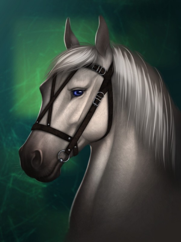 ambiguous_gender blue_eyes bridle feral fur green_background looking_at_viewer mane monotone_body monotone_face monotone_fur monotone_mane quadruped short_fur side_view simple_background snout solo white_body white_ears white_face white_fur white_mane anuta_belko riche equid equine horse mammal 2017 3:4 digital_media_(artwork) headshot_portrait hi_res portrait