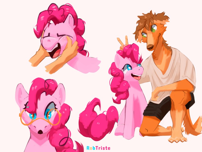 anthro clothed clothing cutie_mark duo eyewear female feral fur glasses hair male male/female pink_hair solo wearing_glasses roberttristeart friendship_is_magic hasbro my_little_pony pinkie_pie_(mlp) rob_(roberttristeart) borzoi canid canine canis domestic_dog earth_pony equid equine horse hunting_dog mammal pony sighthound absurd_res hi_res