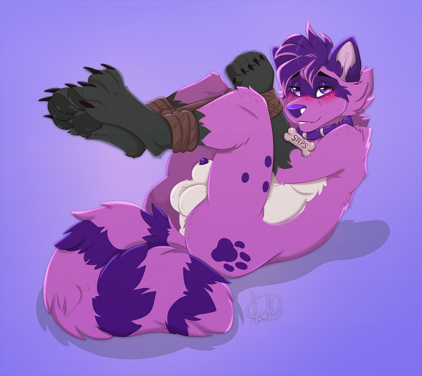 animal_genitalia anthro arms_tied balls bdsm blush bondage bone_collar_tag bound collar collar_tag fluffy fluffy_tail footprint fur genitals hair legs_tied male markings pawpads pawprint pawprint_(marking) penis penis_tip purple_body purple_collar purple_eyes purple_fur purple_hair purple_penis restraints rope rope_bondage sheath side_view solo tail kwik_(artist) mammal procyonid raccoon hi_res