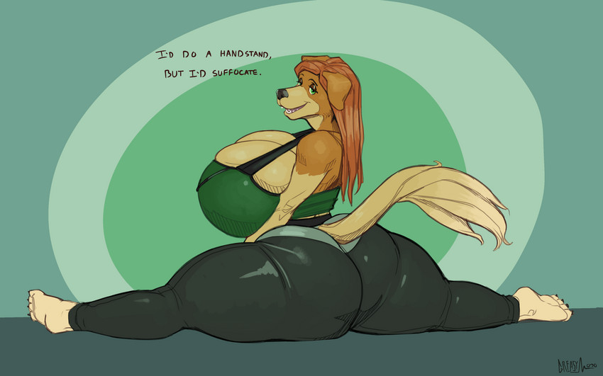 anthro big_breasts big_butt breasts butt cleavage clothed clothing curvy_figure dialogue female flexible green_eyes huge_breasts huge_butt huge_thighs inconvenient_breasts looking_at_viewer solo splits spread_legs spreading text thick_thighs voluptuous greasymojo dj50 ginger_(dj50) bird_dog canid canine canis domestic_dog golden_retriever hunting_dog mammal retriever 16:10 2020 absurd_res english_text hi_res widescreen