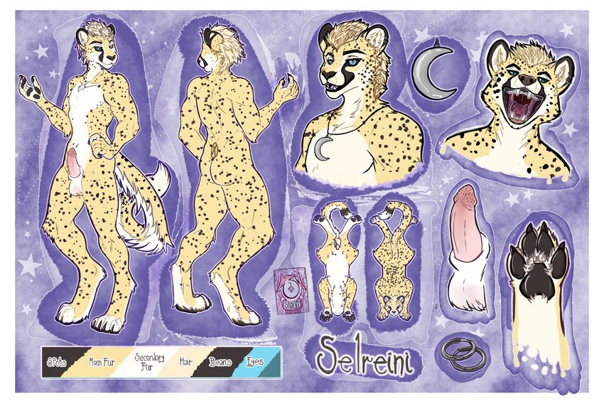 anatomy anatomy_reference anthro border genitals male open_mouth pawpads paws penile_spines penis solo white_border sakary_yoliztli selreini_(character) cheetah felid feline mammal absurd_res hi_res huge_filesize model_sheet