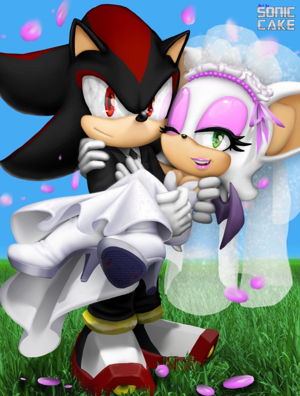 rouge the bat and shadow the hedgehog (sonic the hedgehog (series) and etc) created by sonic cake