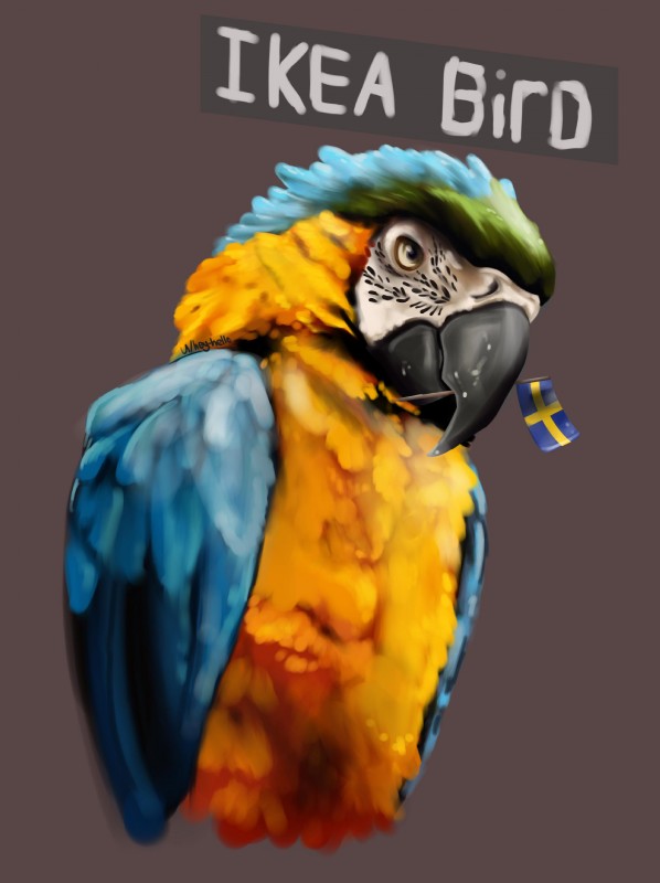 ambiguous_gender beak black_beak blue_body blue_feathers feathered_wings feathers feral flag orange_body orange_feathers simple_background solo swedish_flag wings hey-hello microsoft minecraft mojang pewdiepie xbox_game_studios ikea_bird ara_(genus) avian bird blue-and-yellow_macaw macaw neotropical_parrot parrot parrot_(minecraft) true_parrot absurd_res hi_res