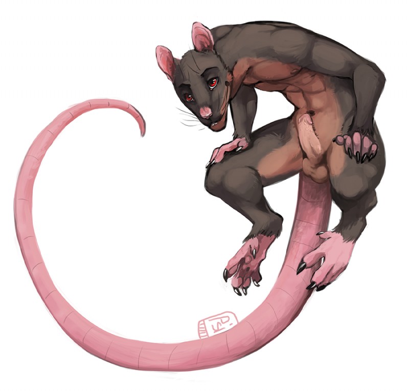 anthro balls brown_body brown_fur buckteeth feet fur genitals humanoid_genitalia humanoid_penis long_tail male nude penis pink_nose rat_tail red_eyes simple_background smile solo tail teeth whiskers white_background i-psilone shephard mammal murid murine rat rodent