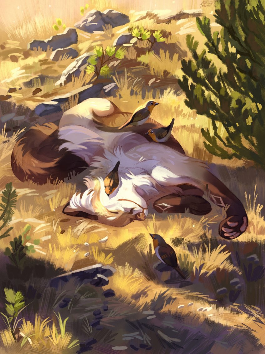 detailed_background dry_grass feral fur happy lying on_back orange_body orange_fur outside pawpads paws plant relaxing rock shadow solo tree under_shade white_body white_fur geosaiko1267 avian bird canid canine canis fox mammal 2021 detailed digital_media_(artwork) digital_painting_(artwork) hi_res