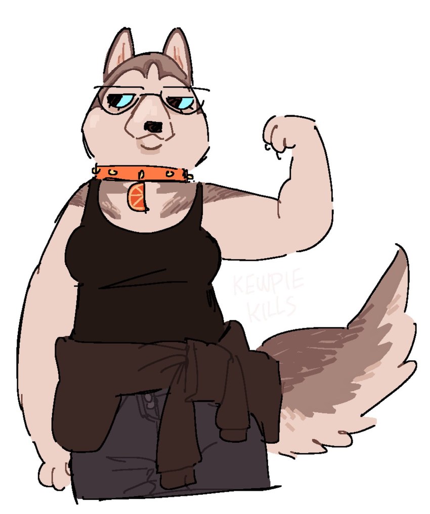 anthro bare_arms black_clothing black_shirt black_tank_top black_topwear blue_eyes bottomwear breasts citrus_fruit claws clothing collar eyewear female flexing flexing_bicep fluffy fluffy_tail glasses looking_aside orange_collar pants pointy_ears shirt simple_background snout solo studded_collar studs sweater tail tank_top topwear white_background kewpiekills canid canine canis domestic_dog husky mammal nordic_sled_dog spitz digital_media_(artwork) hi_res signature