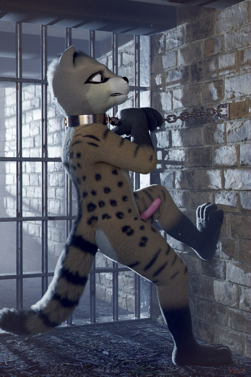 anthro bars chain chain_leash chain_tugging chained_to_wall collar erection foot_on_wall genitals leash male metal_collar nude penis solo stone_wall wall_(structure) veo trapa civet mammal viverrid 2:3 3d_(artwork) digital_media_(artwork) hi_res