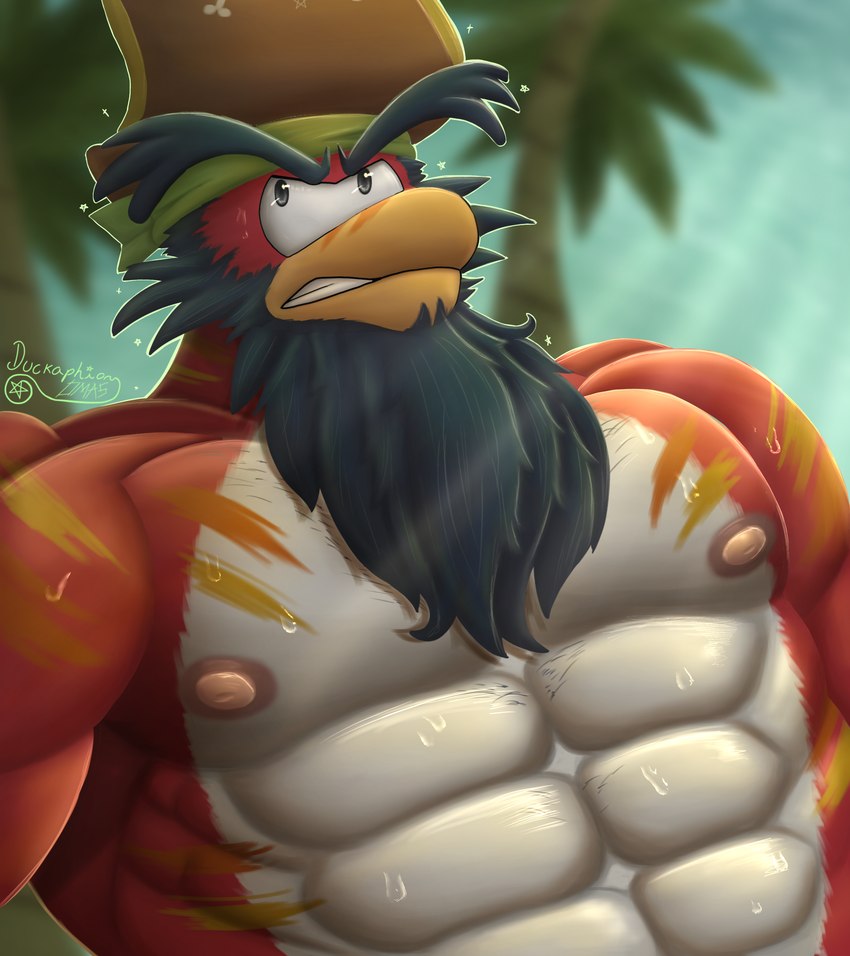 anthro beard bodily_fluids facial_hair male muscular muscular_male nipples palm_tree pecs pirate pirate_hat plant red_body solo sweat tree white_body duckaphion club_penguin captain_rockhopper avian bird penguin absurd_res hi_res