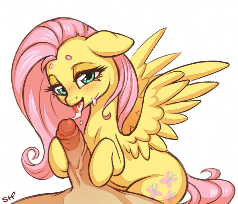 fluttershy (friendship is magic and etc) created by sorc