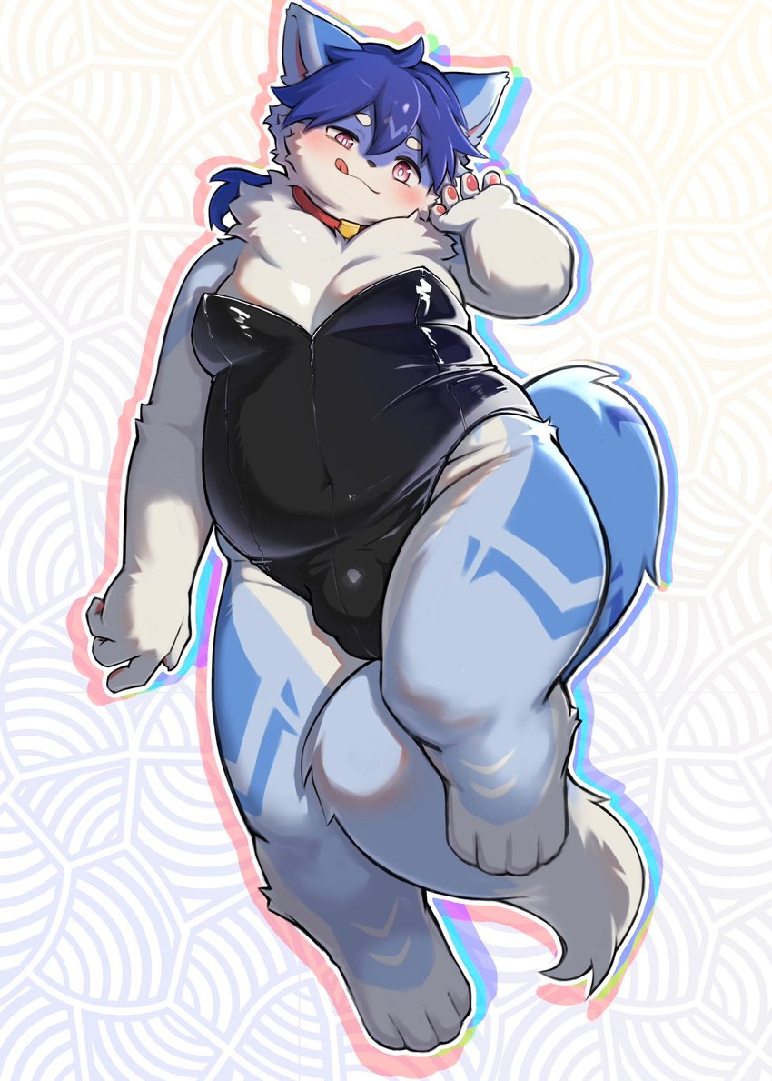 anthro belly blue_body blue_fur blush bulge collar fur kemono licking licking_lips male moobs navel overweight playboy_outfit solo tongue tongue_out navi_(artist) canid canine canis mammal wolf hi_res