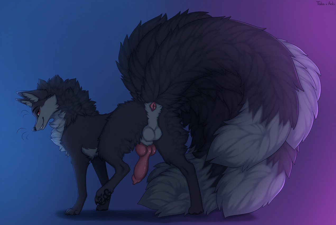4_tails animal_genitalia animal_penis balls black_body black_claws black_fur black_nose black_pawpads black_tail canine_genitalia canine_penis claws dipstick_tail feral fur genitals grey_balls grey_tail_tip knot male markings multi_tail pawpads penis red_eyes sheath solo tail tail_anus tail_markings whiskers a.o.kigahara_(artist) taka_(artist) hayden_kai'adan canid canine fox mammal artist_collaboration hi_res