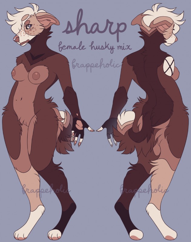 anthro biped blue_eyes breasts brown_body brown_fur female fur hair nipples solo white_hair frappeholic canid canine canis domestic_dog mammal digital_media_(artwork) full-length_portrait hi_res model_sheet portrait