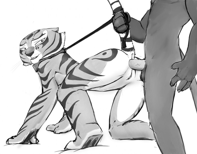 master tigress (kung fu panda and etc) created by sabrotiger