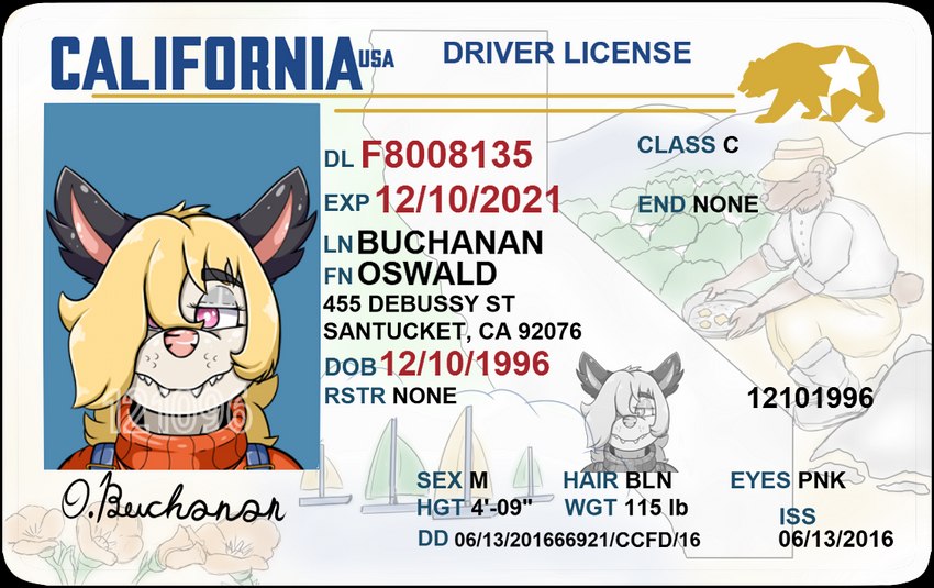 anthro black_body black_fur blonde_hair california clothing driver's_license fur hair id_card looking_at_viewer male male_anthro overalls pink_eyes pink_nose solo sweater teeth text topwear turtleneck white_body white_fur byukanon oswald_buchanan_(byukanon) american_opossum mammal marsupial english_text