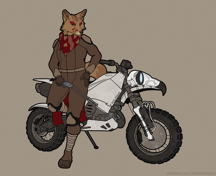 anthro biker biker_boots biker_girl biker_gloves bird_skull bird_skull_ornament boots cape clothing dirt_bike female footwear gloves gun handwear jumpsuit kerchief knee_pads lever_action lever_action_rifle lever_action_shotgun looking_at_viewer mature_anthro mature_female mechanic_outfit motorcycle ranged_weapon rifle seductive shoes shotgun shoulder_pads solo vehicle weapon rebeldragon101 laika_aged_through_blood laika_(laika_aged_through_blood) canid canine canis coyote mammal hi_res