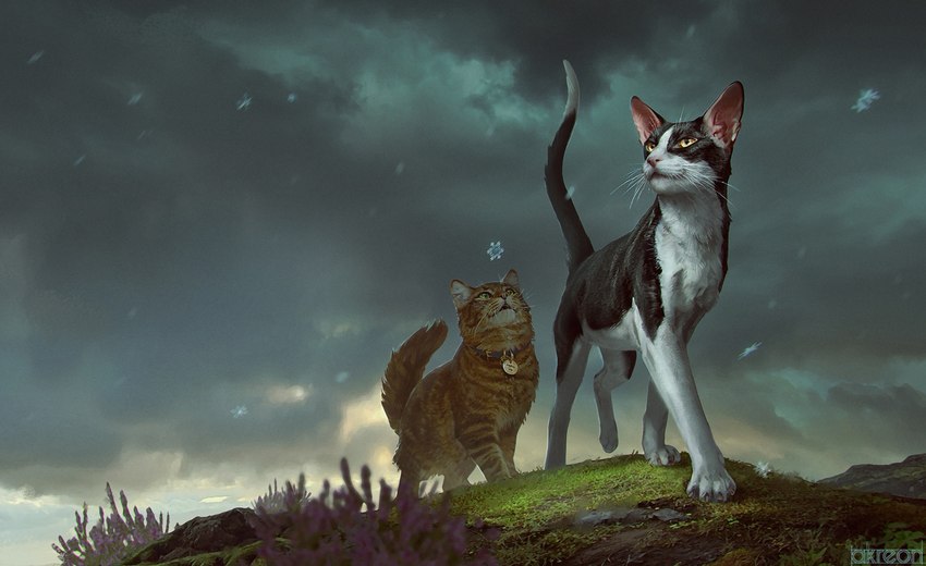 amazing_background ambiguous_gender black_body black_fur cloud collar detailed_background duo feet feral flower fur grass green_eyes heather_(flower) looking_up orange_body orange_fur outside paws plant quadruped sky snowflake standing tail white_body white_fur yellow_eyes akreon warriors_(book_series) jake_(warriors) tallstar_(warriors) domestic_cat felid feline felis mammal tabby_cat tuxedo_cat detailed digital_media_(artwork) digital_painting_(artwork) hi_res official_art shaded unavailable_at_source watermark male_(lore)