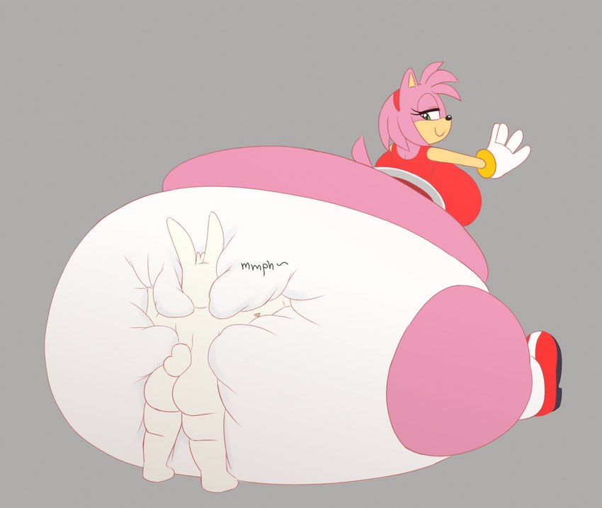 amy rose and beverage (sonic the hedgehog (series) and etc) created by beverage (artist)