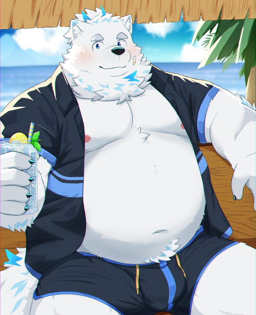 anthro beach belly beverage blush bottomwear bulge clothing fur jacket male moobs navel nipples overweight shorts solo swimwear topwear white_body white_fur ruoain lifewonders live_a_hero yohack canid canine canis domestic_dog mammal nordic_sled_dog samoyed spitz absurd_res hi_res