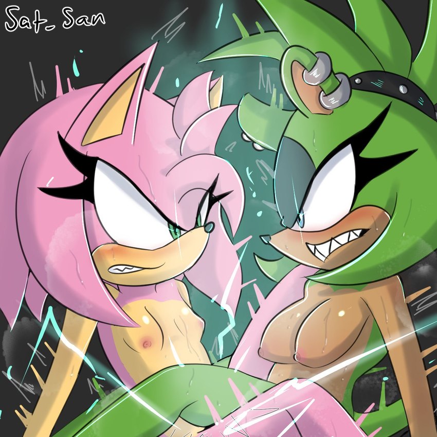 amy rose and surge the tenrec (sonic the hedgehog (comics) and etc) created by saturn sand