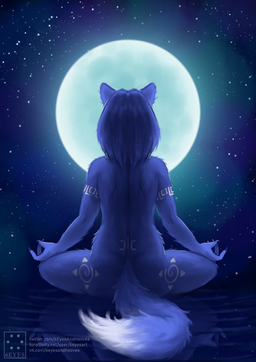 anthro back_markings backlighting blue_body blue_fur blue_hair blue_tail detailed_background female fluffy fluffy_tail full_moon fur hair hip_markings leg_markings light long_nails lotus_pose markings meditation medium_hair moon moonlight night nude nude_anthro nude_female pointy_ears prick_ears rear_view sitting sitting_on_ground sky solo star starry_sky tail tasteful_nudity text water_ripple white_dipstick_tail 6eyesandhooves nintendo star_fox krystal_(star_fox) canid canine fox mammal 2024 artist_name cool_colors digital_media_(artwork) digital_painting_(artwork) full-length_portrait hi_res lighting portrait signature url