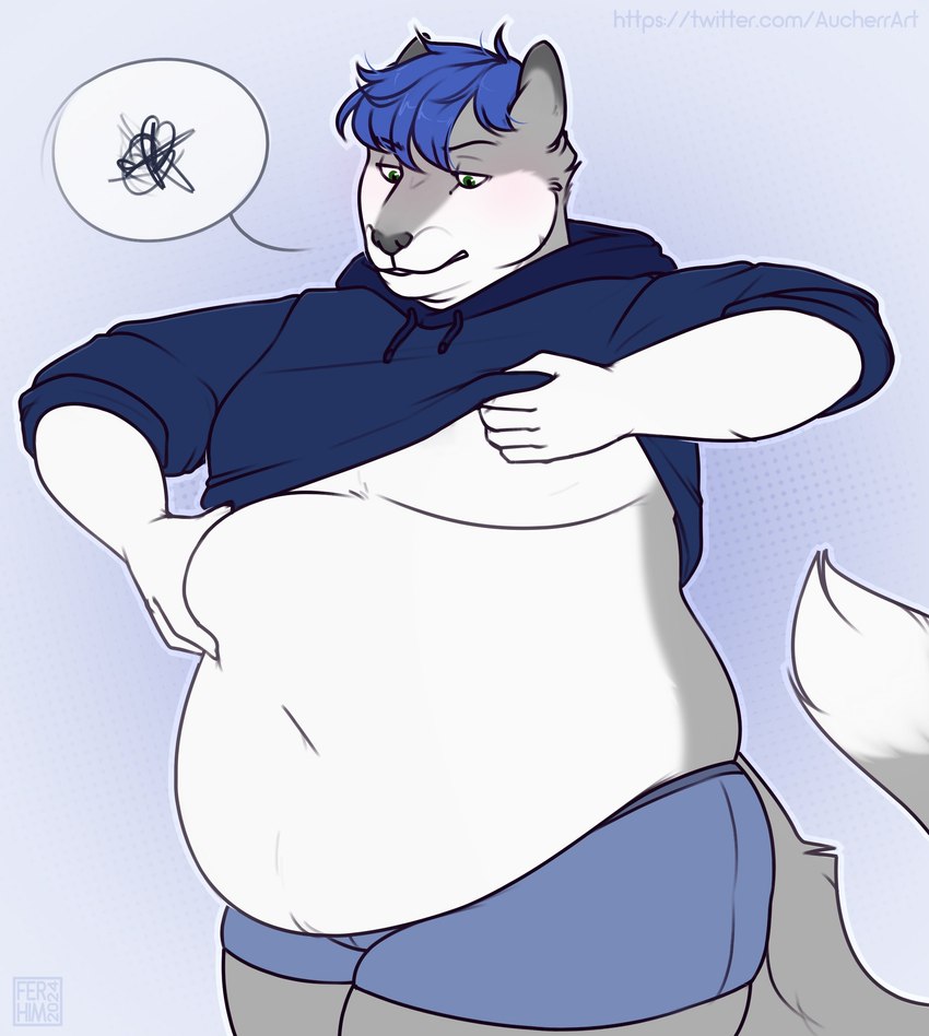 anthro belly big_belly black_nose blue_clothing blue_hair blue_sweater blue_topwear blue_underwear clothing fluffy fluffy_tail fur green_eyes grey_body grey_fur hair holding_belly looking_at_self male moobs navel overweight overweight_male pulling_down_shirt short_hair simple_background solo sweater tail topwear underwear white_body white_fur aucherr kyra_f._wolf canid canine canis fox hybrid mammal wolf 2024 hi_res