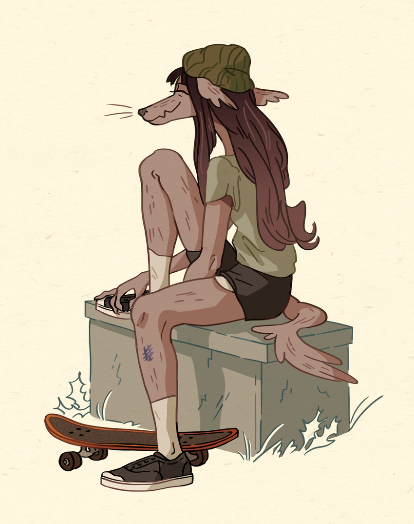 anthro beanie bottomwear brown_hair bruised clothing eyes_closed female footwear hair hat headgear headwear legwear shirt shoes shorts sitting skateboard socks solo topwear vehicle uzon jessie_(uzon) canid canine canis mammal wolf 2018 hi_res