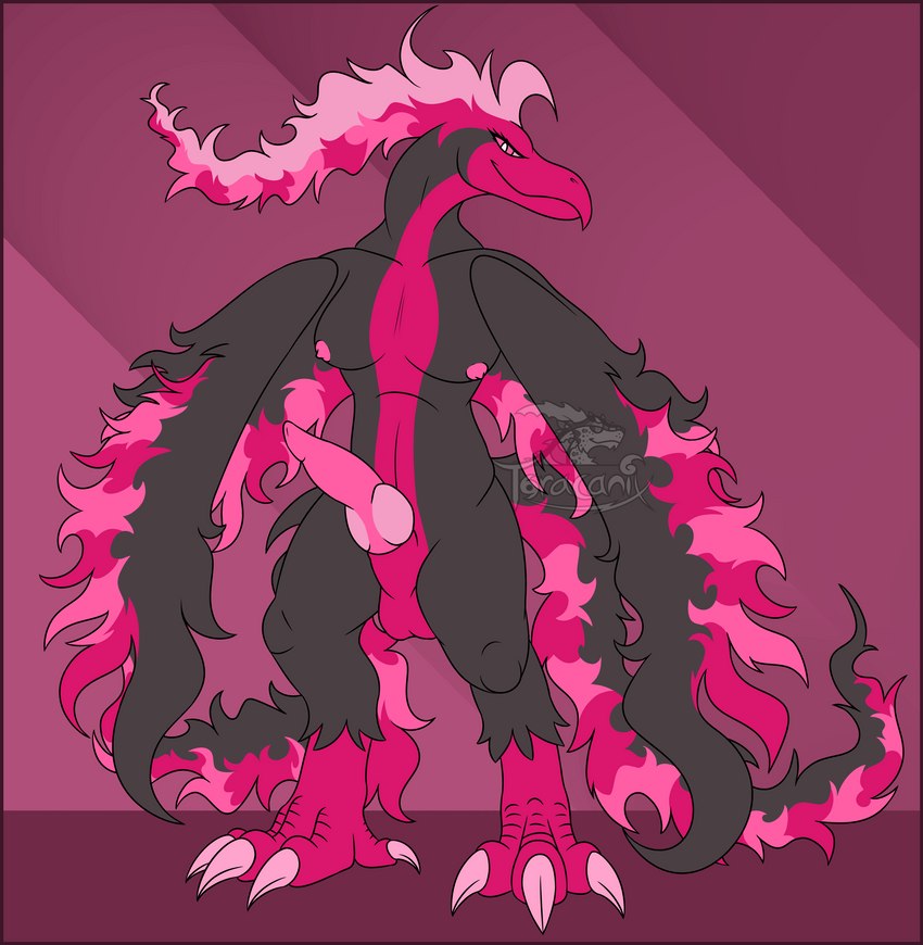 anthro balls beak black_body black_fire border breasts claws colored_fire exposed feathers feet fire flaming_hair flaming_tail flaming_wings genitals gynomorph intersex knot looking_at_viewer nipples penis pink_background pink_body pink_claws pink_eyes pink_fire pink_sclera pink_stripes pink_talons presenting pseudo_hair red_border simple_background smile smug solo stripes tail talons toes unusual_anatomy unusual_wings white_eyes winged_arms wings toracanix nintendo pokemon agneya_owari fan_character avian bird galarian_form galarian_moltres generation_8_pokemon legendary_pokemon pokemon_(species) regional_form_(pokemon) absurd_res hi_res