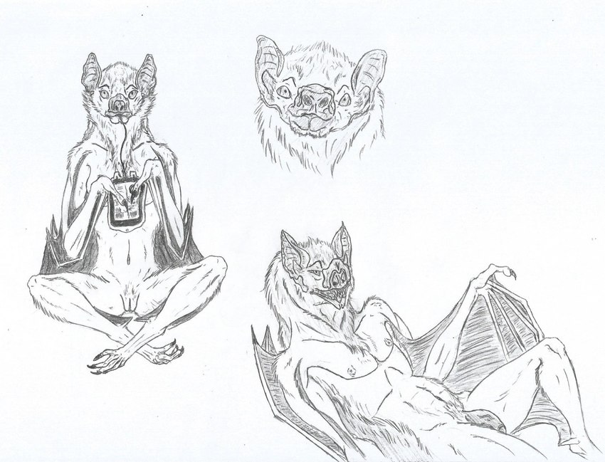 abs ambiguous_gender anthro bat_ears bat_nose bat_wings blood_bag chest_tuft drinking female flaccid genitals group humanoid_genitalia humanoid_penis humanoid_pussy lying male membrane_(anatomy) membranous_wings navel neck_tuft nipples nude pecs penis pubes pussy sitting teeth_showing trio tuft wings eyegis-garr bat leaf-nosed_bat mammal microbat vampire_bat yangochiropteran monochrome sketch_page