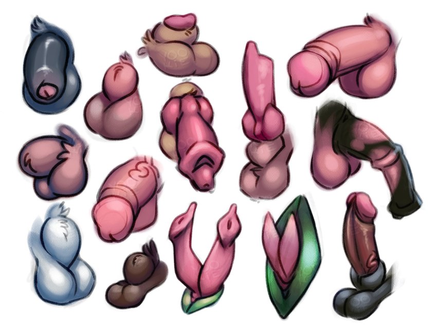 2_penises ambiguous_form animal_genitalia animal_penis balls black_balls black_penis brown_body brown_fur canine_genitalia canine_penis circumcised disembodied_penis equine_genitalia equine_penis erection flaccid foreskin fully_sheathed fur genitals glans glistening glistening_genitalia glistening_knot glistening_penis half-erect hemipenes humanoid_genitalia humanoid_penis hybrid_genitalia hybrid_penis knot male medial_ring multi_genitalia multi_penis partially_retracted_foreskin penis penis_sheet penis_tip pink_balls pink_glans pink_penis retracted_foreskin sheath sheathed_humanoid_penis simple_background solo tan_balls tan_body tan_fur tapering_penis urethra vein veiny_penis white_background white_balls white_body white_fur yookie 2021 digital_media_(artwork) hi_res multiple_images signature