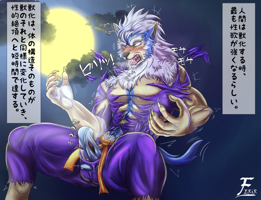 anthro bared_teeth blush bottomwear breath claws clothed clothing cloud dialogue_box ears_up erection erection_under_clothing finger_claws full_moon fully_clothed male martial_arts_uniform moon open_mouth pants purple_bottomwear purple_clothing purple_pants purple_shirt purple_topwear shirt snout solo sportswear tenting text topwear torn_clothing transformation ferir capcom darkstalkers mythology jon_talbain canid canine mammal mythological_canine mythological_creature werecanid werecanine werecreature werewolf 2020 hi_res japanese_text translation_check translation_request