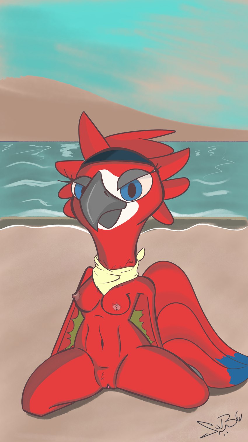 anthro beach bedroom blue_eyes breasts feathers female kerchief kneeling nipples non-mammal_breasts sand shore simple_background solo spread_legs spreading tail tail_feathers shakewell-before-use blue_sky_studios rio_(series) fan_character ara_(genus) avian bird macaw neotropical_parrot parrot scarlet_macaw true_parrot 9:16 absurd_res hi_res