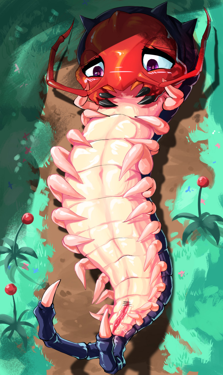 antennae_(anatomy) blush bodily_fluids censor_bar detailed_background female feral genital_fluids genitals half-closed_eyes ineffective_censorship lying mandibles multi_leg multi_limb narrowed_eyes on_back outside purple_eyes pussy solo vaginal_fluids chobonolly maplestory arthropod centipede giant_centipede_(maplestory) insect myriapod censored hi_res