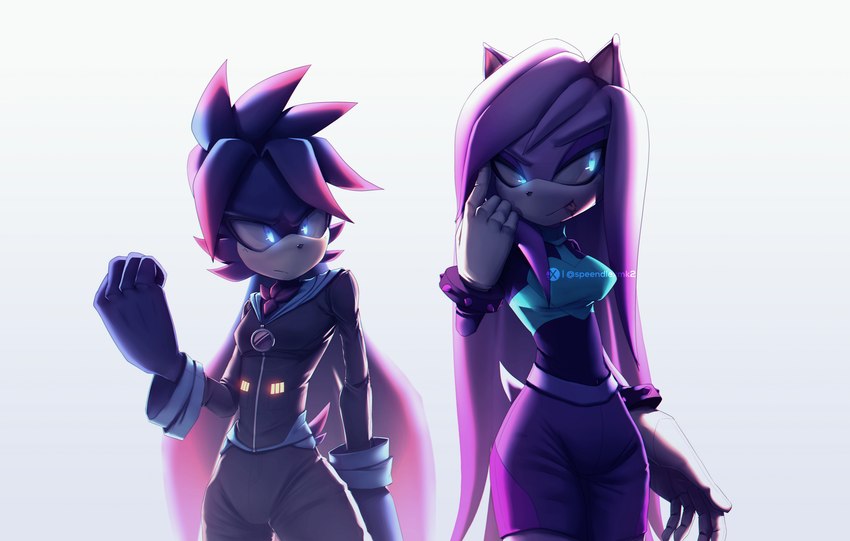 anthro blue_eyes bottomwear bracelet clothing duo female gloves hand_on_cheek handwear jacket jewelry pants pink_body purple_body shirt skirt spiked_bracelet spikes topwear speendlexmk2 sega sonic_the_hedgehog_(series) fan_character speen_(character) alien absurd_res hi_res