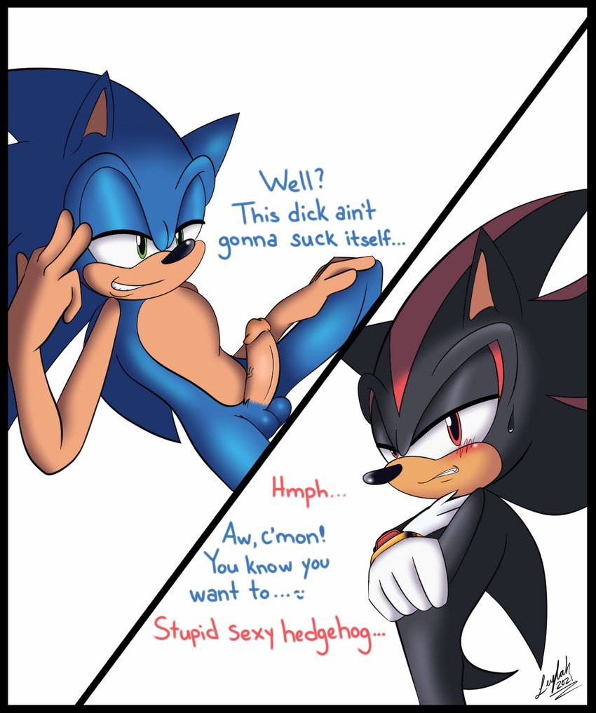 anthro balls black_body black_border black_fur blue_body blue_fur blush border clenched_teeth clothing crossed_arms dialogue duo erection flirting fur genitals gloves handwear male male/male nude penis simple_background smile smirk teeth text leylahshan sega sonic_the_hedgehog_(series) shadow_the_hedgehog sonic_the_hedgehog eulipotyphlan hedgehog mammal 2021 digital_media_(artwork) english_text hi_res signature