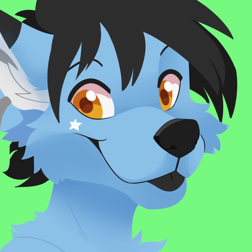 anthro black_body black_ears black_eyebrows black_fur black_hair black_nose black_tongue blep blue_body blue_ears blue_fur cheek_tuft chest_tuft ear_piercing ear_ring eyebrows facial_tuft fur glistening glistening_eyes green_background hair inner_ear_fluff looking_at_viewer male markings orange_eyes piercing ring_piercing simple_background smile solo star_(marking) tongue tongue_out tuft white_body white_fur white_inner_ear_fluff feve sepfy canid canine canis fox hybrid mammal wolf 1:1 digital_media_(artwork) headshot_portrait portrait