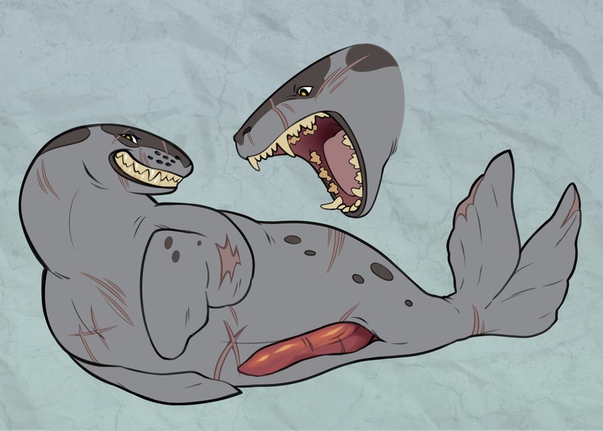 anatomically_correct anatomically_correct_genitalia anatomically_correct_penis animal_genitalia animal_penis cutaway erection feral genitals male open_mouth penis pinniped_penis scar sharp_teeth solo teeth anthropophagiac leopard_seal mammal marine pinniped seal absurd_res hi_res