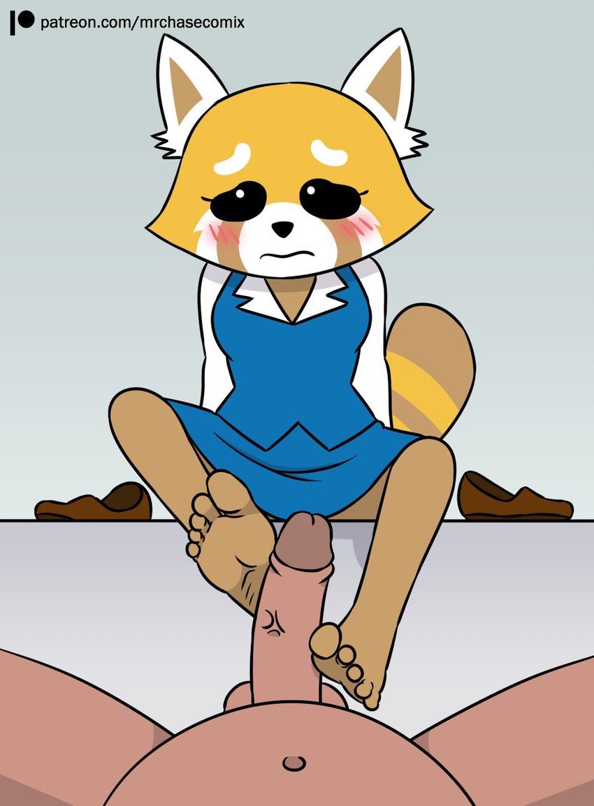 5_toes blush clothed clothing duo erection feet female foot_fetish foot_play footjob genitals humanoid_feet looking_at_viewer male navel penis plantigrade sex sitting soles toes mrchasecomix aggretsuko sanrio retsuko ailurid mammal red_panda hi_res