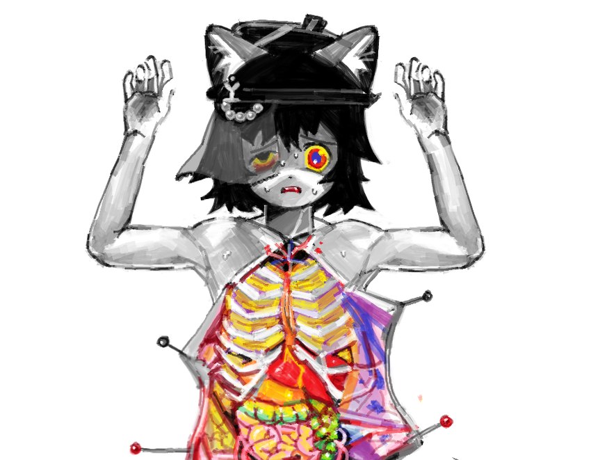 ambiguous_gender anthro beret black_hair blood blue_pupils bodily_fluids clothing dissection fangs frown gore grey_body guts hair hat headgear headwear intestines kemono organs pupils red_eyes rib_cage simple_background solo sweat teeth veil vivisection white_background yellow_sclera alunka domestic_cat felid feline felis mammal half-length_portrait portrait