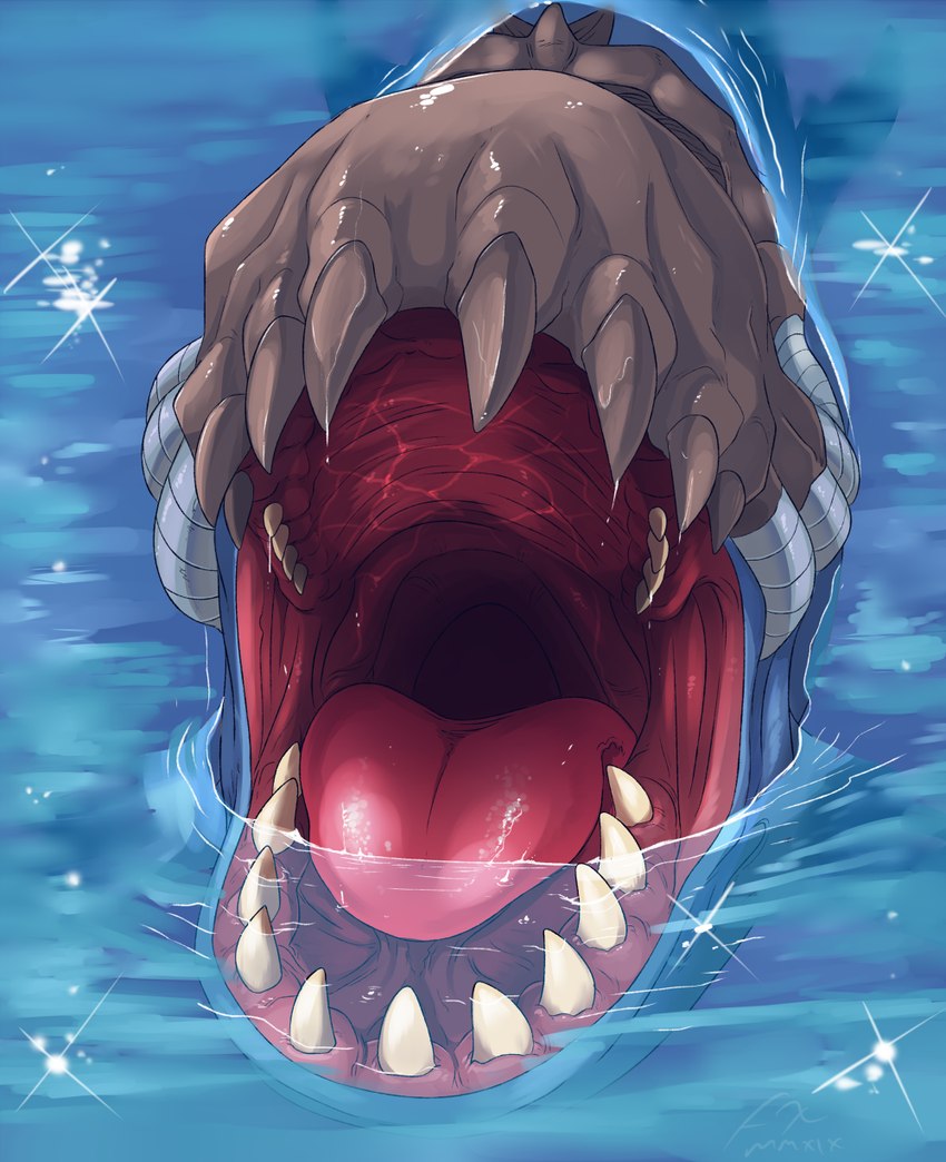 ambiguous_gender blue_body front_view glistening glistening_tongue glistening_water grey_body mouth_shot open_mouth partially_submerged red_tongue solo tongue water imperatorcaesar bandai_namco digimon digimon_(species) marine whamon hi_res