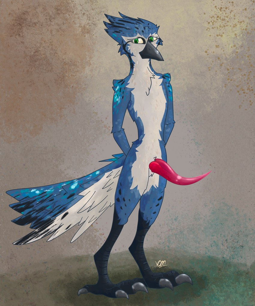 anatomically_correct anatomically_correct_genitalia anthro avian_feet beak big_penis claws coy feathers feet genitals green_eyes hands_behind_back looking_away male penis shy solo tail tail_feathers tapering_penis toe_claws toes wingless_avian vike_mike avian bird blue_jay corvid corvidae jay_(bird) new_world_jay oscine passerine 5:6 absurd_res hi_res