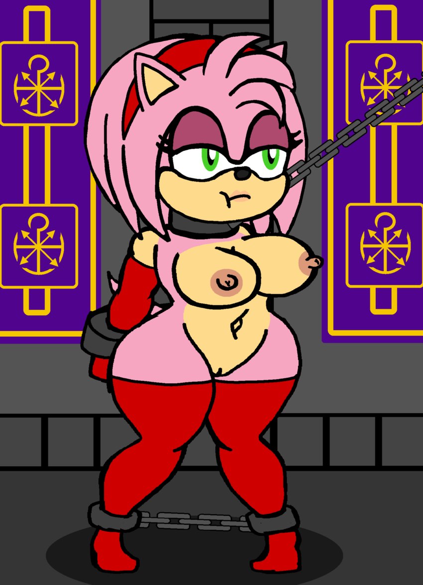 bdsm big_breasts bondage bound breasts chain chain_leash female genitals leash nipples pussy solo nidrog sega sonic_the_hedgehog_(series) amy_rose eulipotyphlan hedgehog mammal hi_res